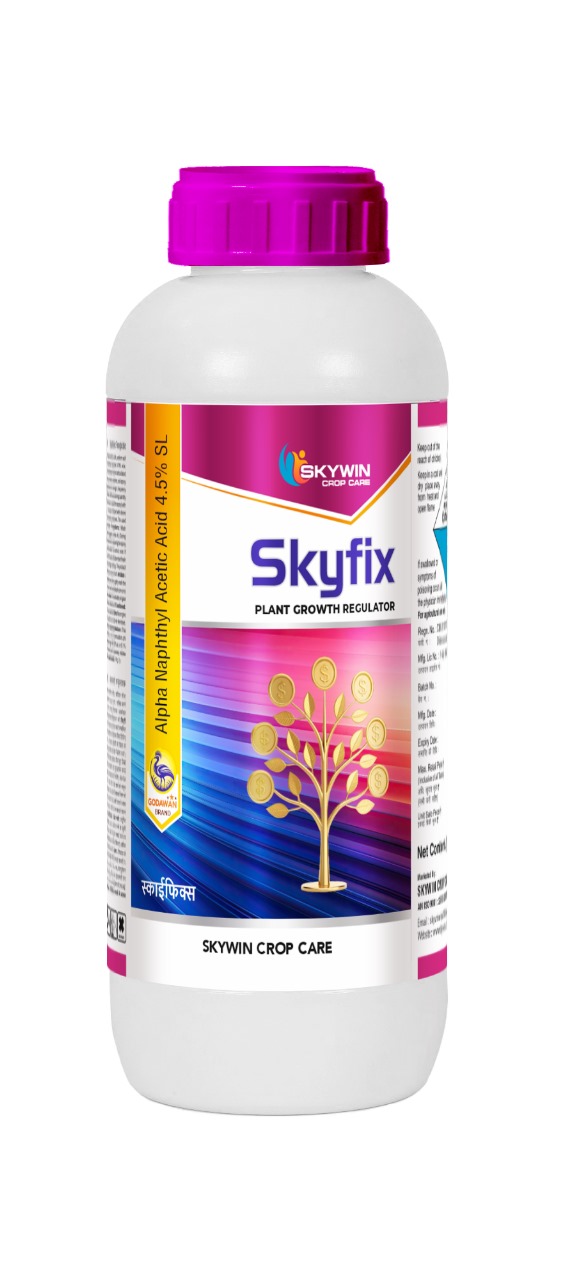 SKYFIX